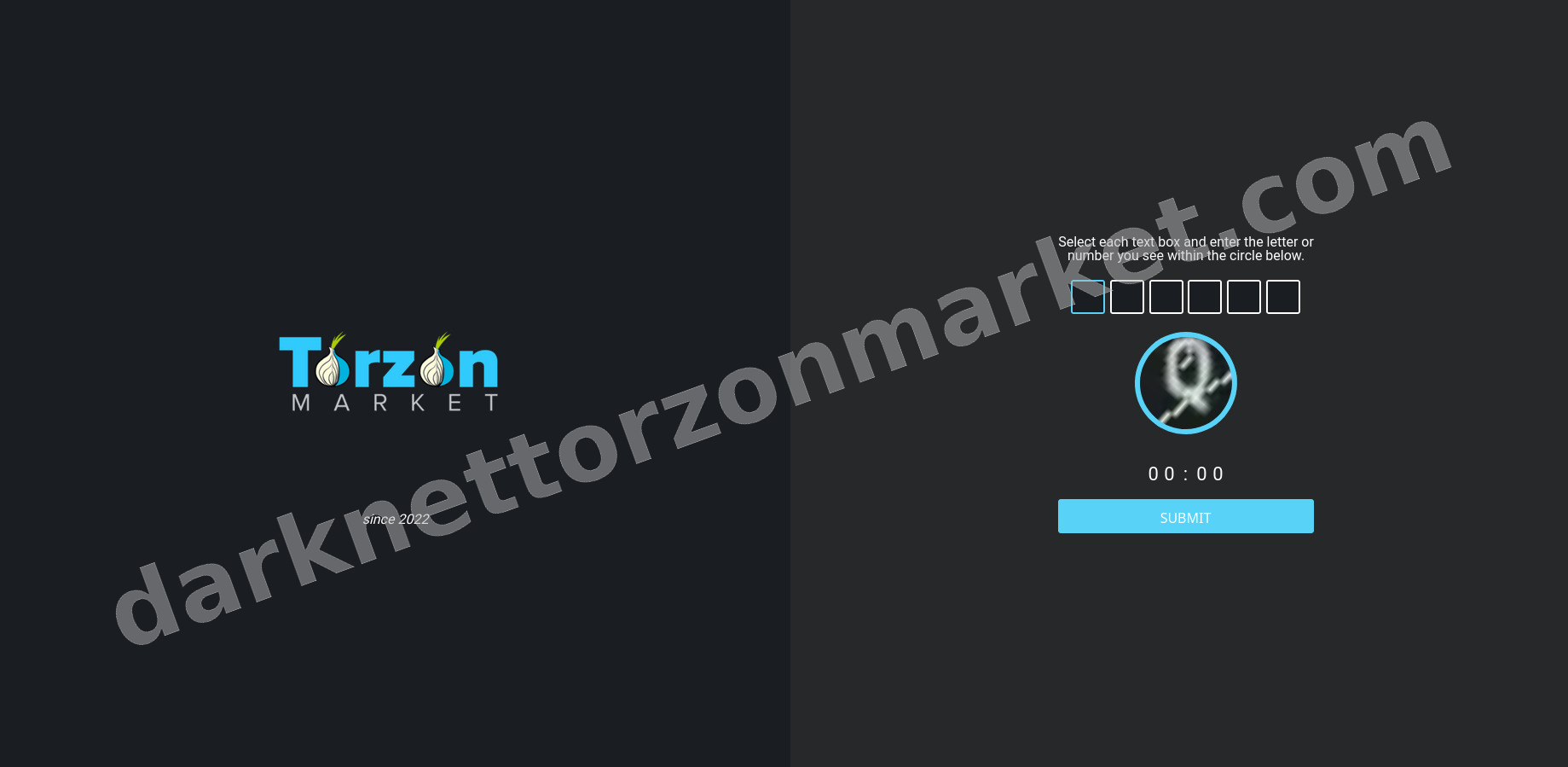 Torzon DDoS Mitigation System